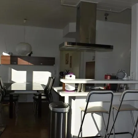 Labradoodle * Dornum