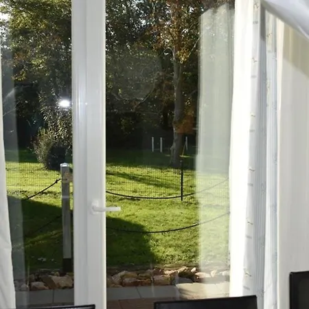 Labradoodle Appartamento