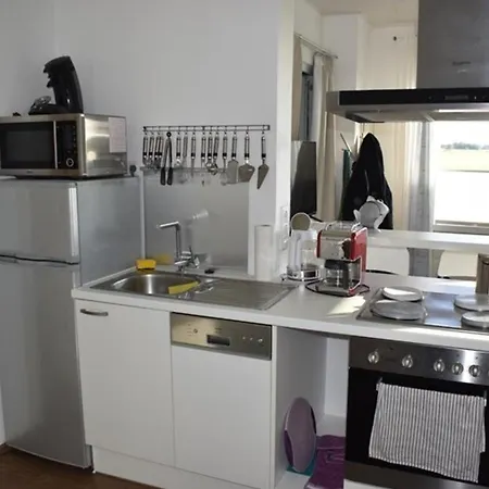 Labradoodle Appartamento *