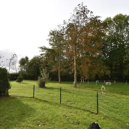 アパート Labradoodle ドルヌム