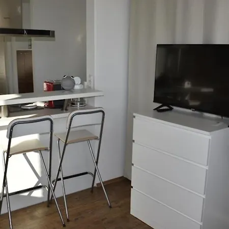 Labradoodle * ドルヌム