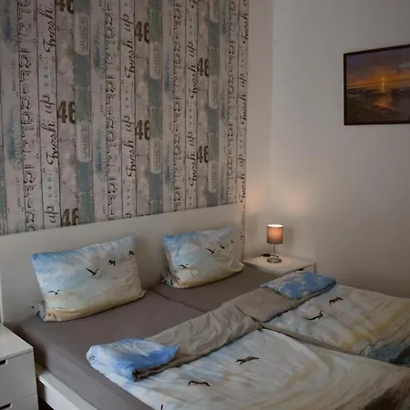 Labradoodle * ドルヌム