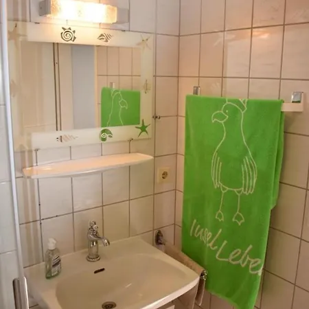 Labradoodle ドルヌム