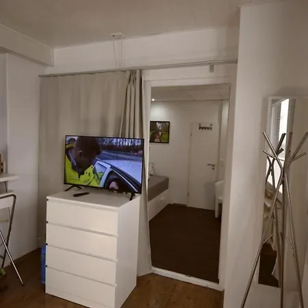 Labradoodle ドルヌム