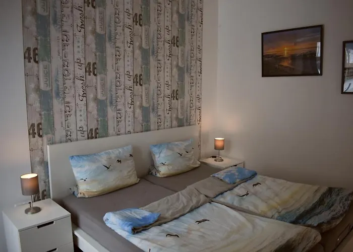 Labradoodle * Dornum