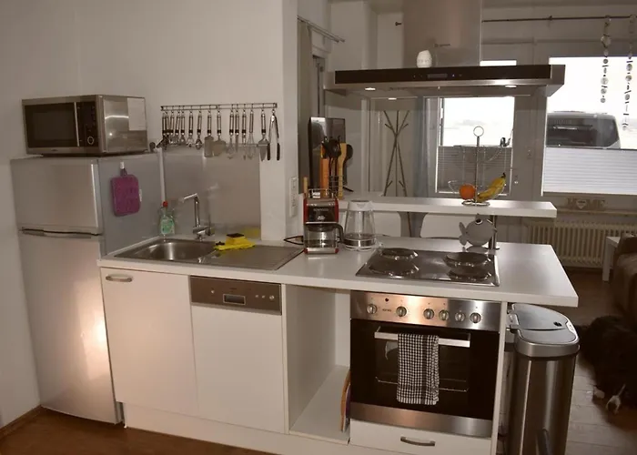 Labradoodle * Dornum