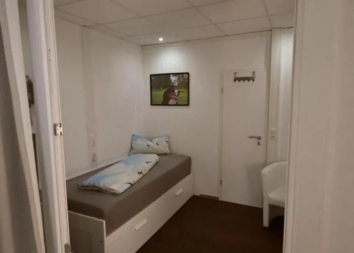 Labradoodle Appartement